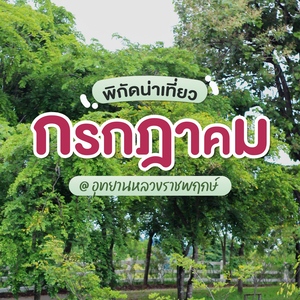七月・清迈绿意之旅 走进绿季的清迈皇家花卉园